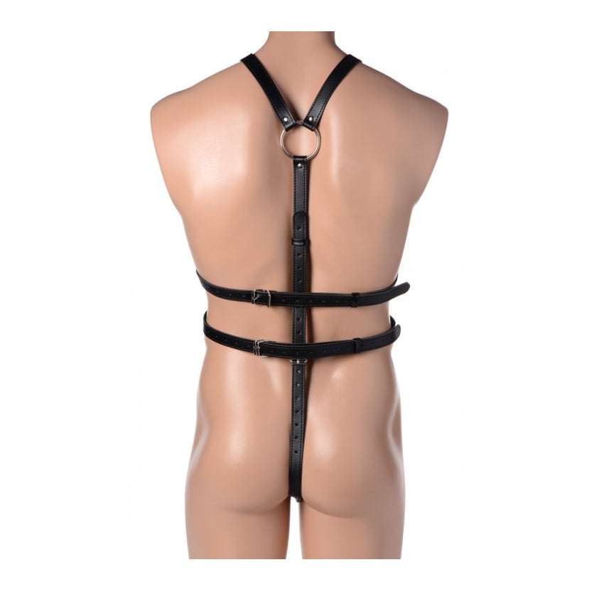 Strict Full Body Harness (8251353202927)