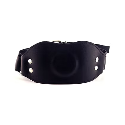 Rouge Leather Gag with Dick outside view