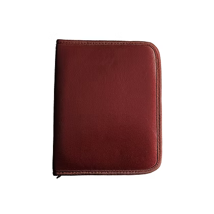 Rouge Stainless Steel Thin Collar 16"