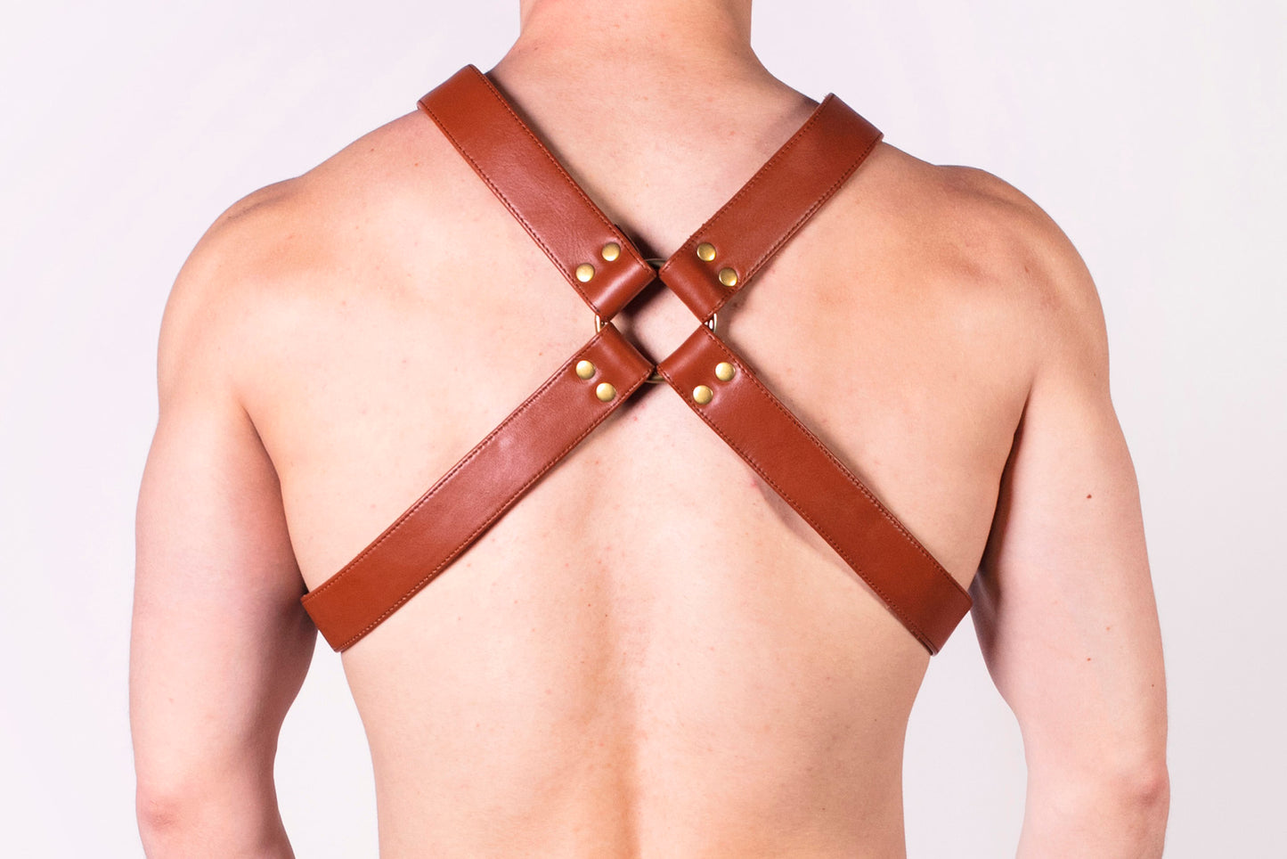 X Harness (4823331176586)