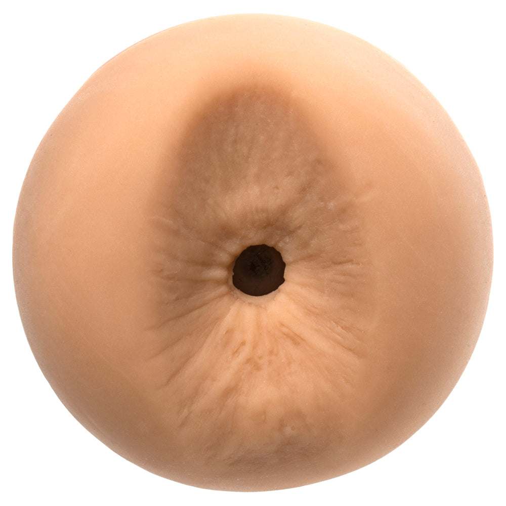 Bear (4845453344906)