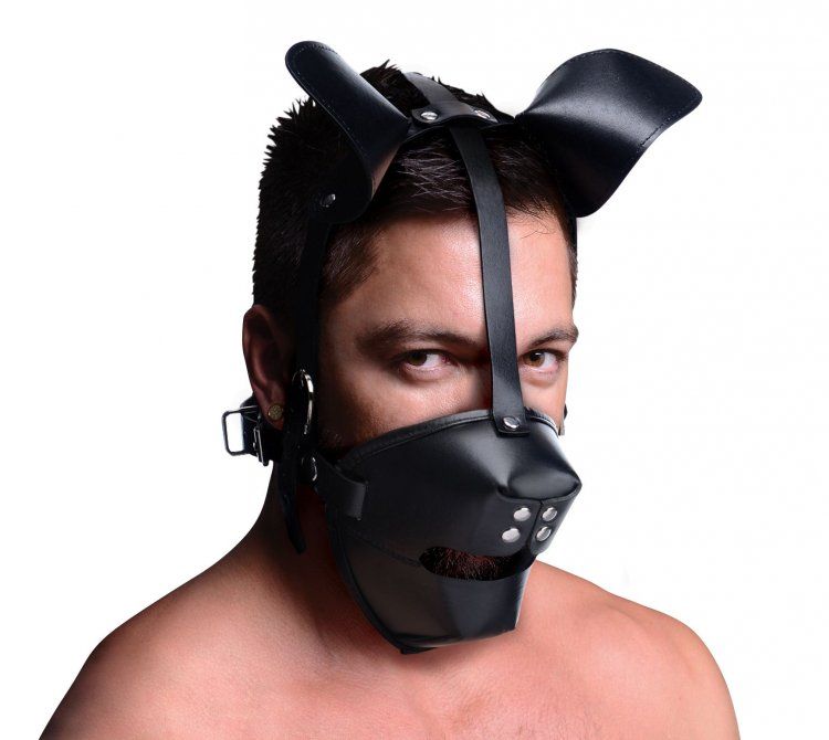 Master Series Pup Puppy Play Hood with Ball Gag (6676197703844)