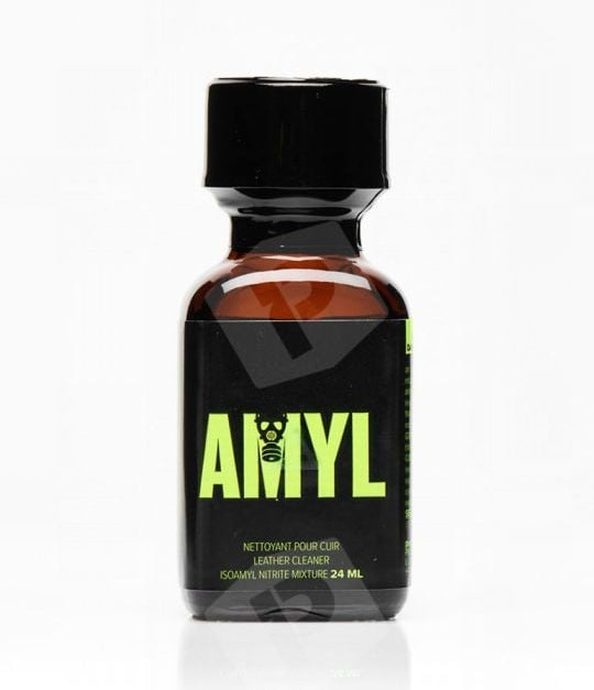 Amyl 24ml