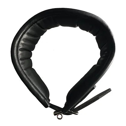 Rouge Leather Padded Posture Collar Black