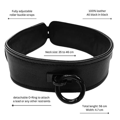 Rouge Leather Collar Black with Black Accessories