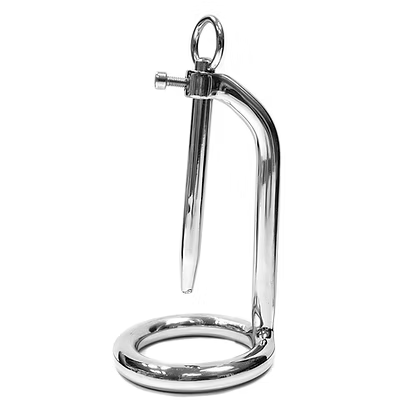 Rouge Stainless Steel Chastity Ring and Urethral Probe 45mm