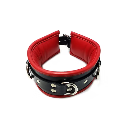 Rouge 3 D-Ring Padded Collar Black/Red