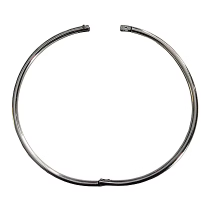 Rouge Stainless Steel Thin Collar 16"