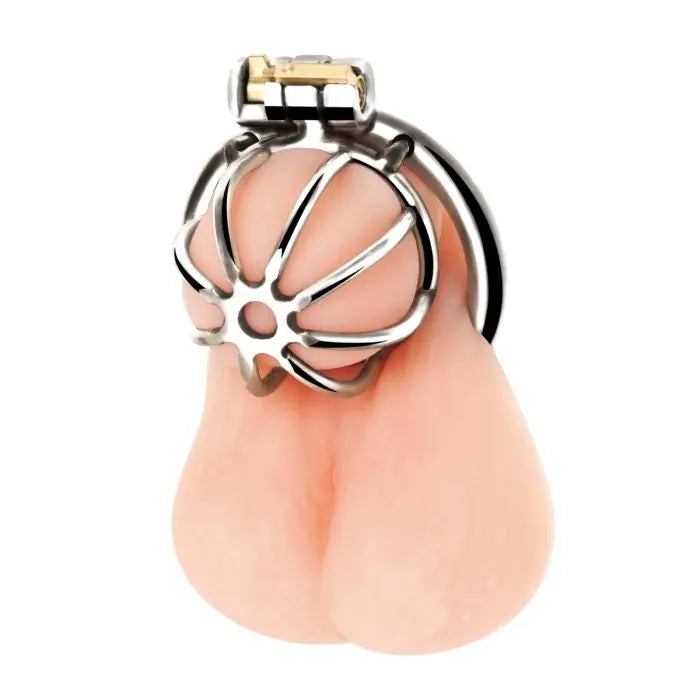 Blueline Little Cock Chastity Cage front view on display model