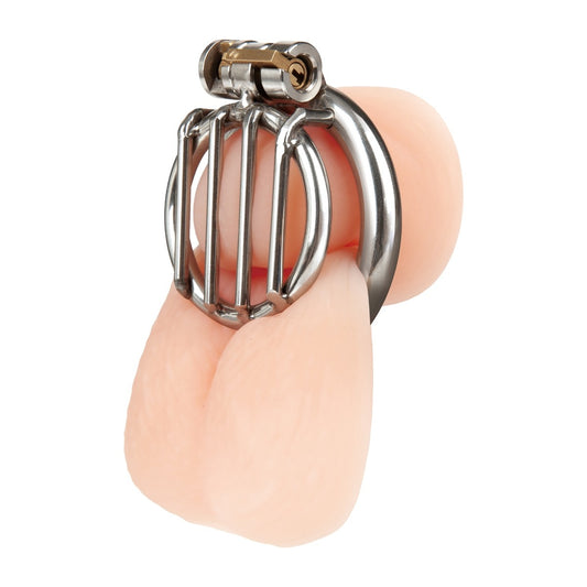 Blueline Stainless Steel Inverted Micro Jail Time Chastity Cage