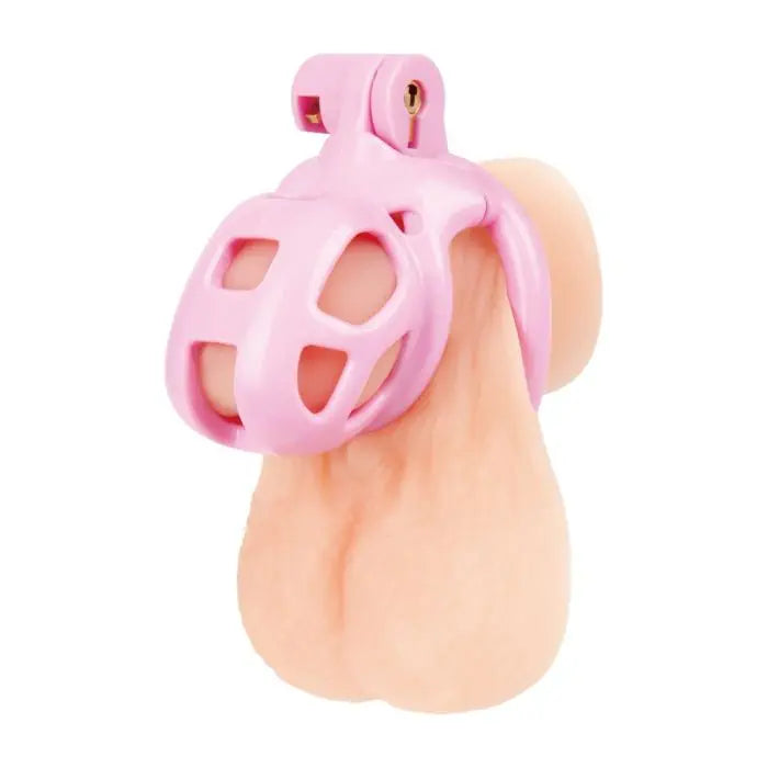 Blue Line Small Pink Humiliation Acrylic Prisoner Cock Cage