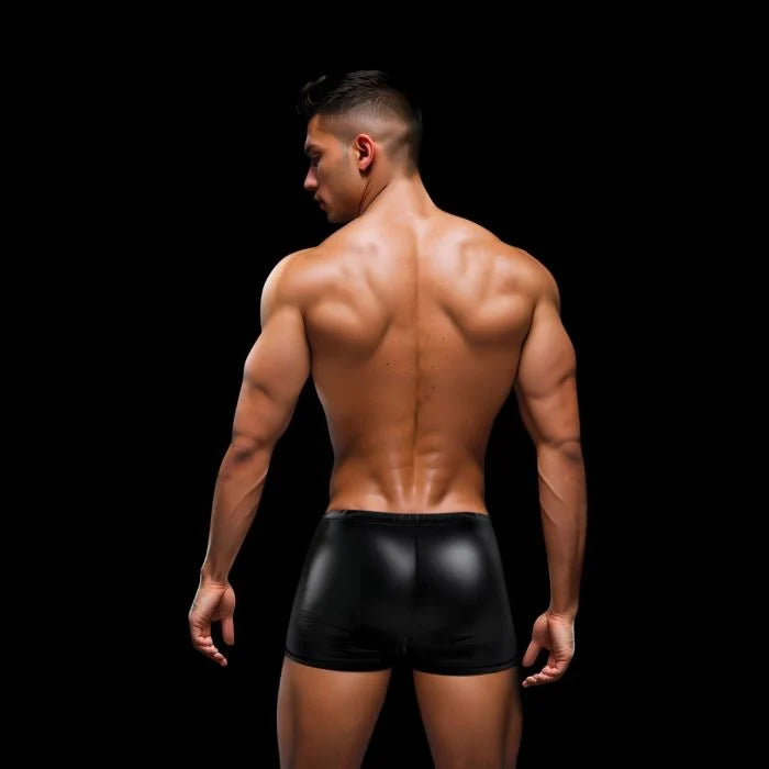 Envy Wet Look Snap Down Boxer Brief