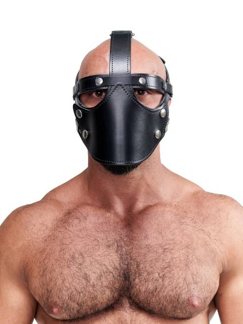 Leather Face Muzzle Harness (8086411870447)