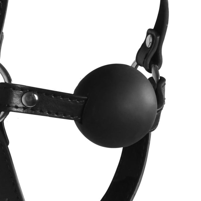 Ouch Xtreme Blindfolded Head Harness with Solid Ball Gag