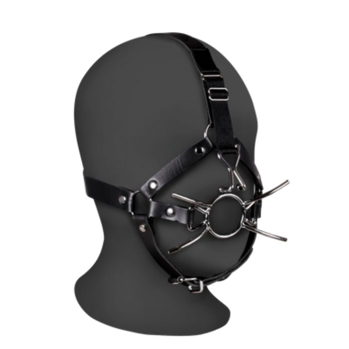 Ouch Xtreme Head Harness with Spider Gag and Nose Hooks