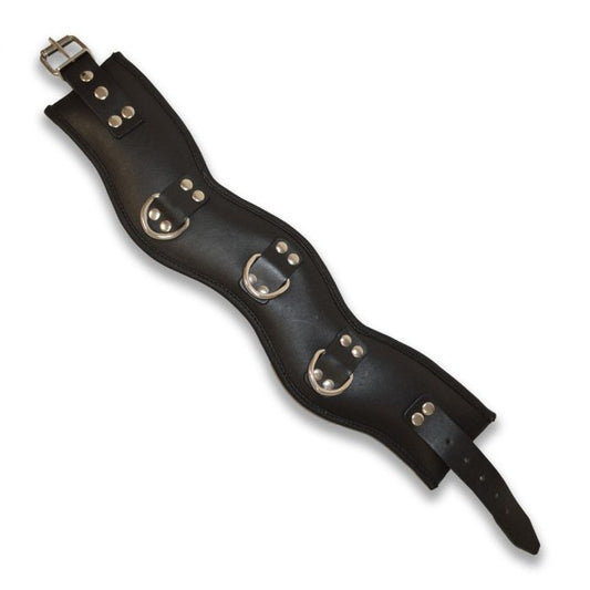 Prowler RED Leather Posture Collar