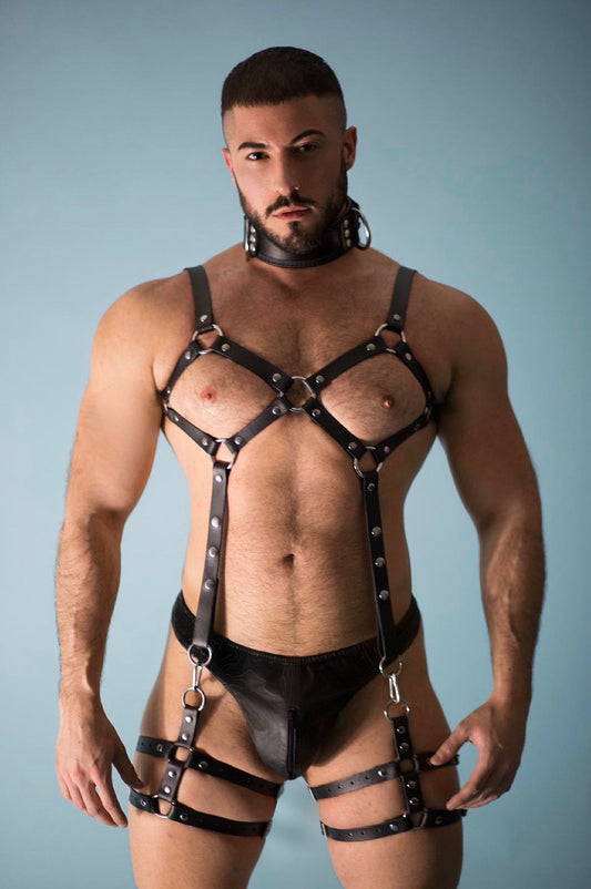 Body and Leg Harness (4905491005578)