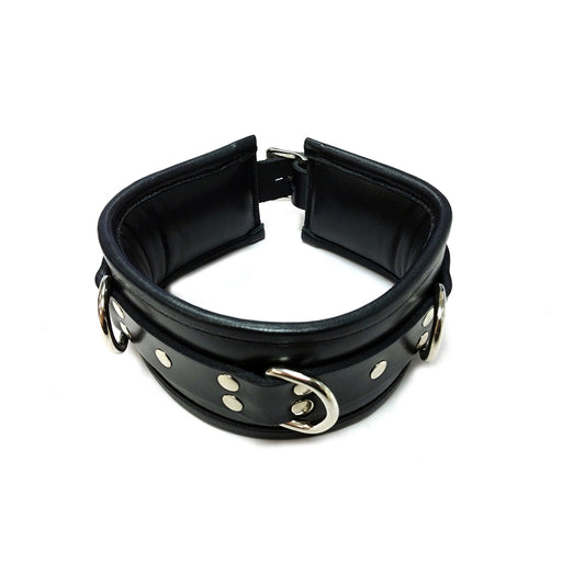 Lockable Padded Collar (4865584496778)