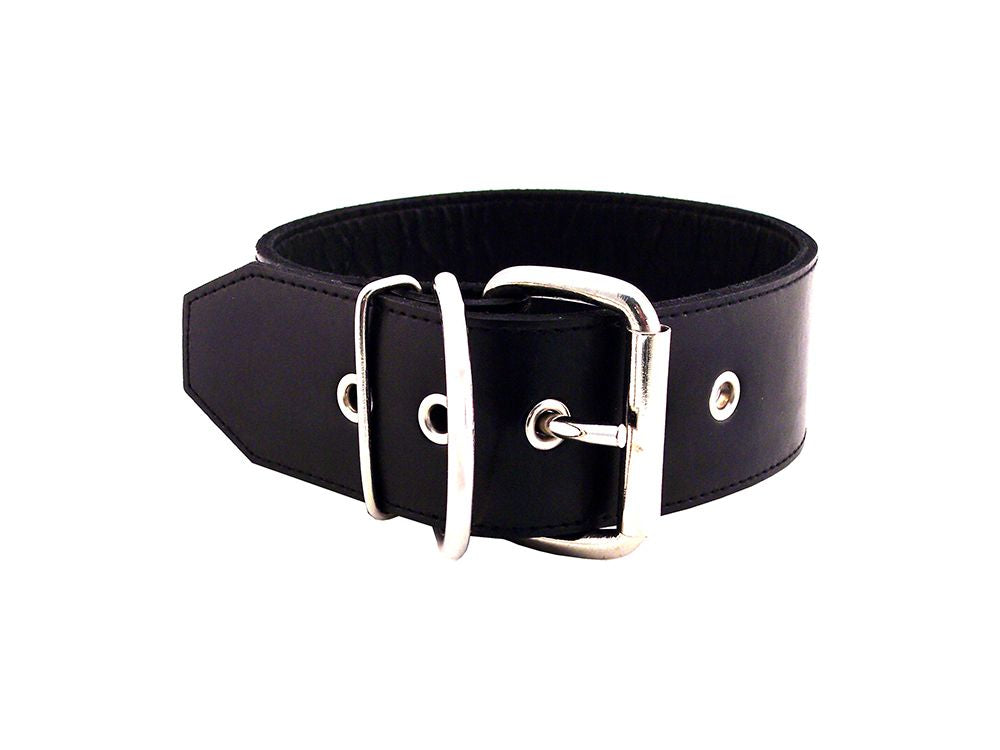 Plain Leather Collar 5CM (6853002625188)