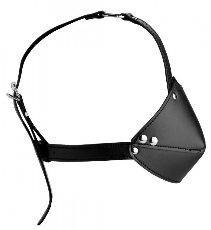 Mouth Harness with Ball Gag (7437952581871)
